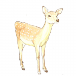 なっちゃん